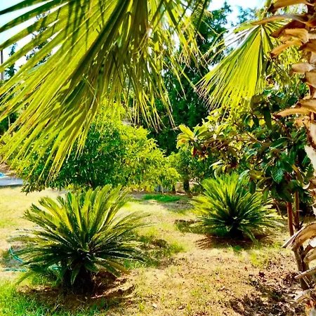Villa Amatheia Kato Melidhoni