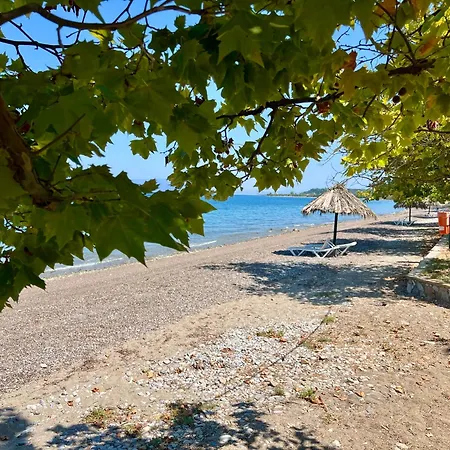 Amaltheia , Beachfront Κάτω Μελιδόνι