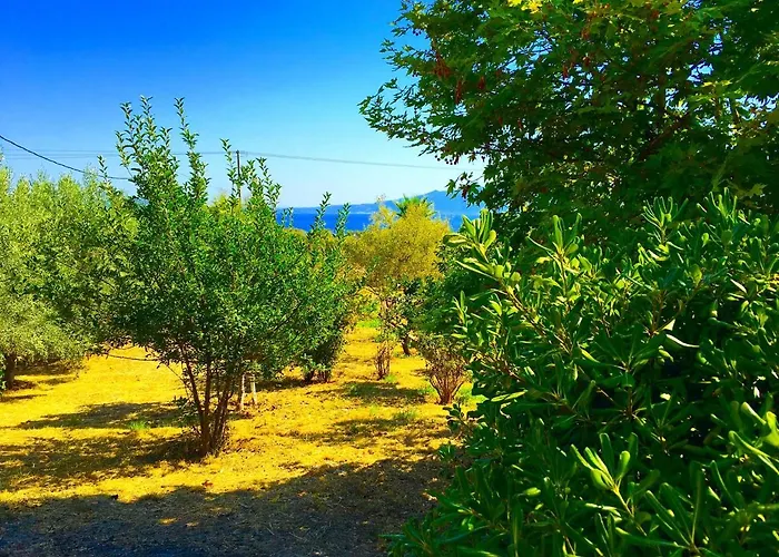 Vila Amatheia, Beachfront Kato Melidhoni