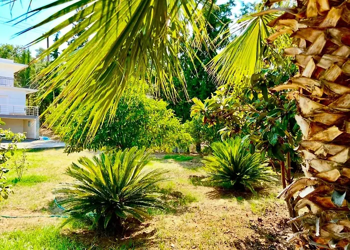 Vila Amatheia, Beachfront Kato Melidhoni